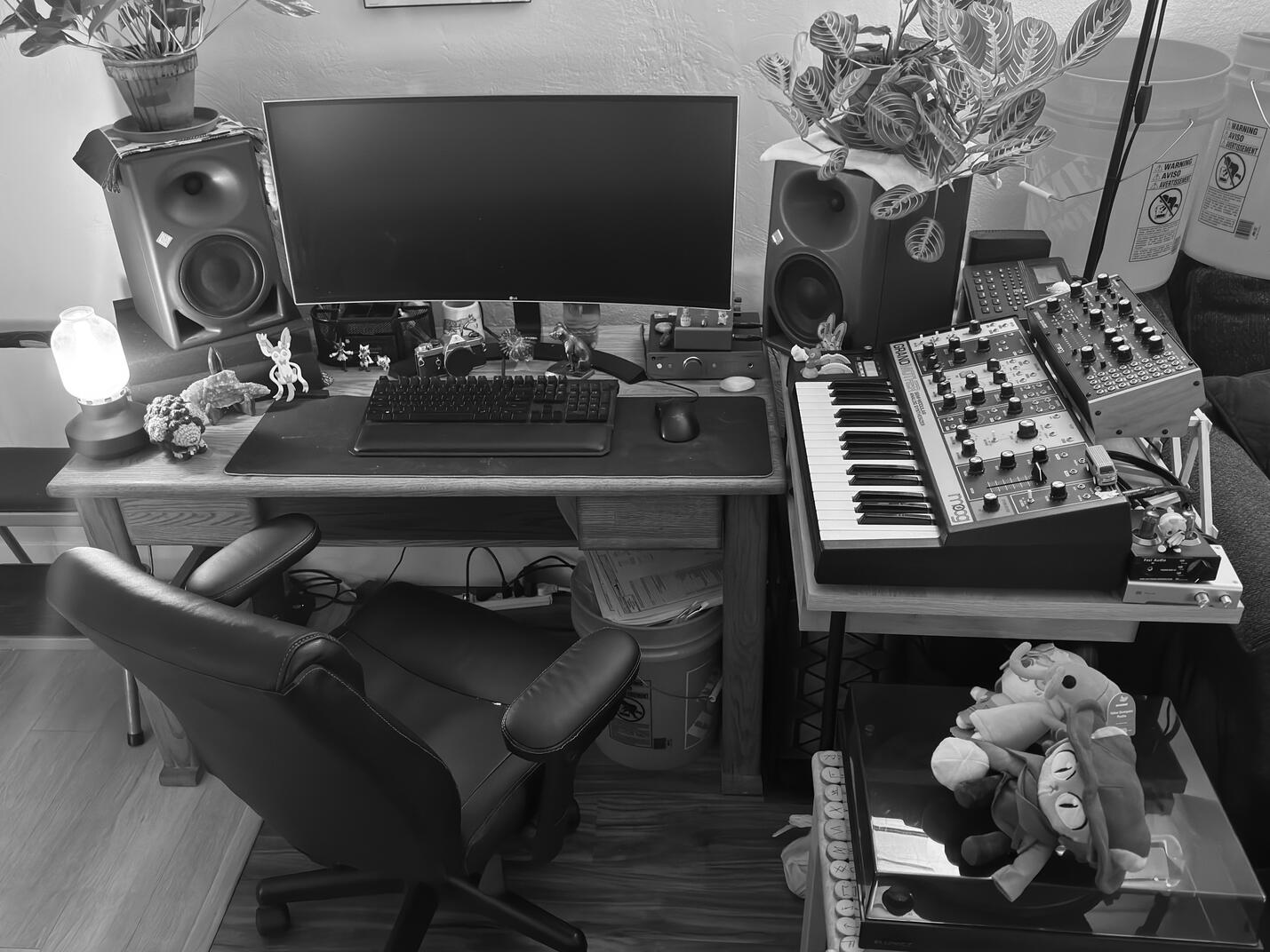 Cosmic Lynx Studio Image 1 Cosmic Lynx Studio Overview