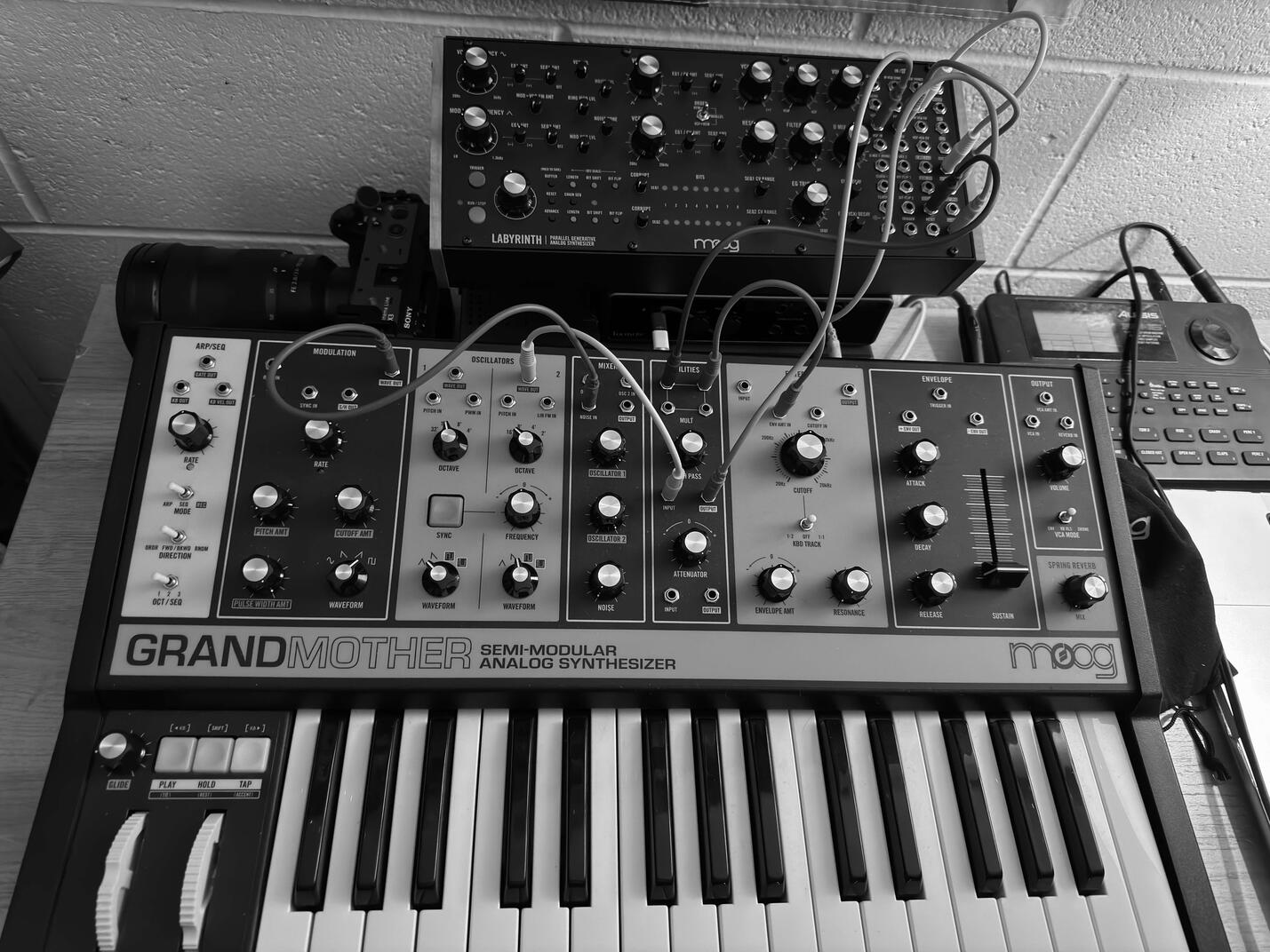 Cosmic Lynx Studio Image 2 Cosmic Lynx Studio Closeup